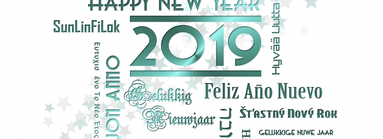 Bonne Année 2019